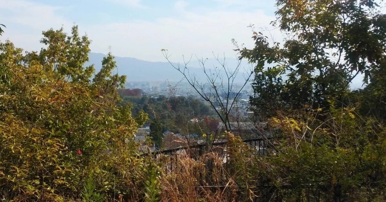 北区衣笠中古住宅②