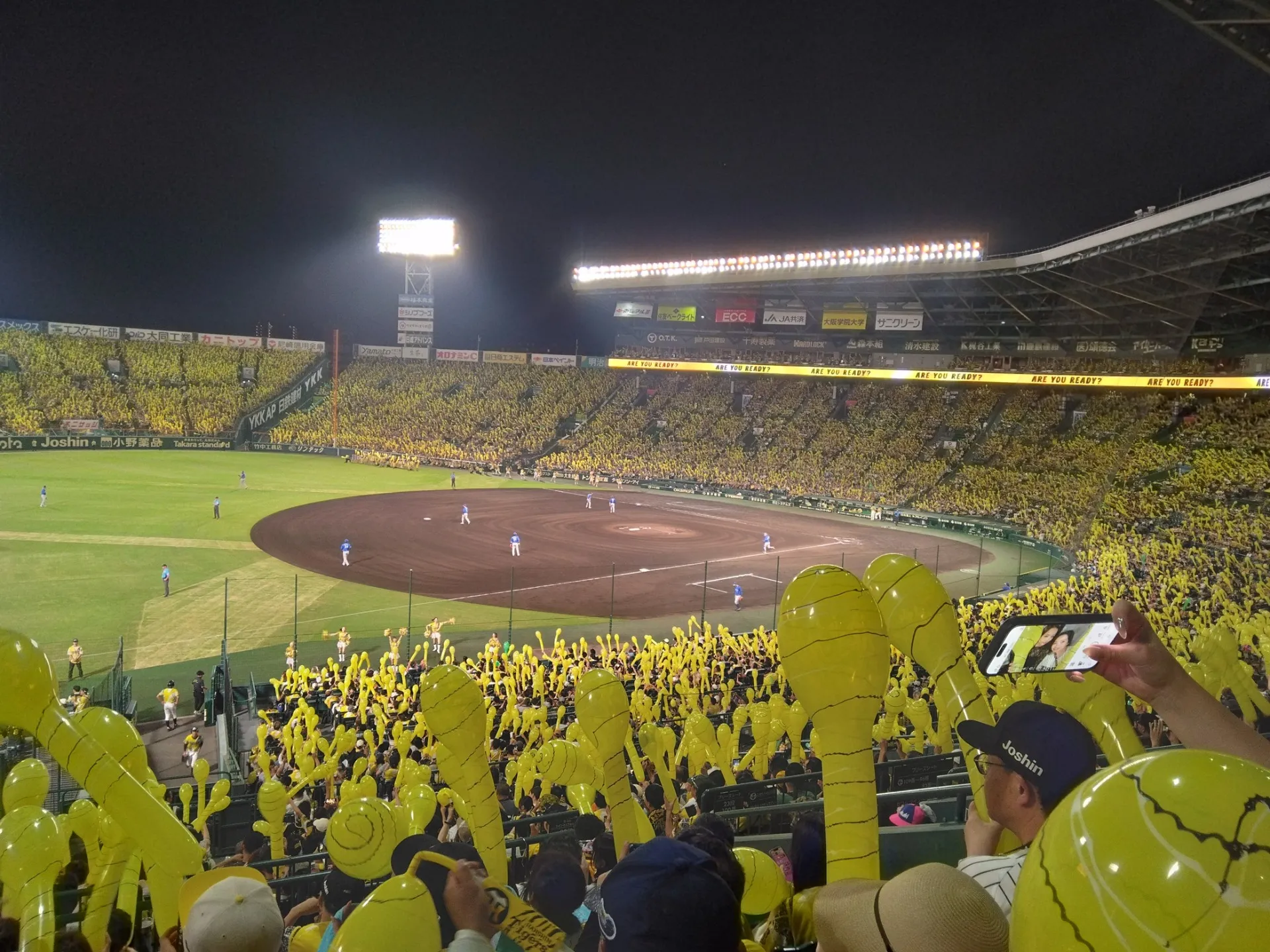 プロ野球観戦
