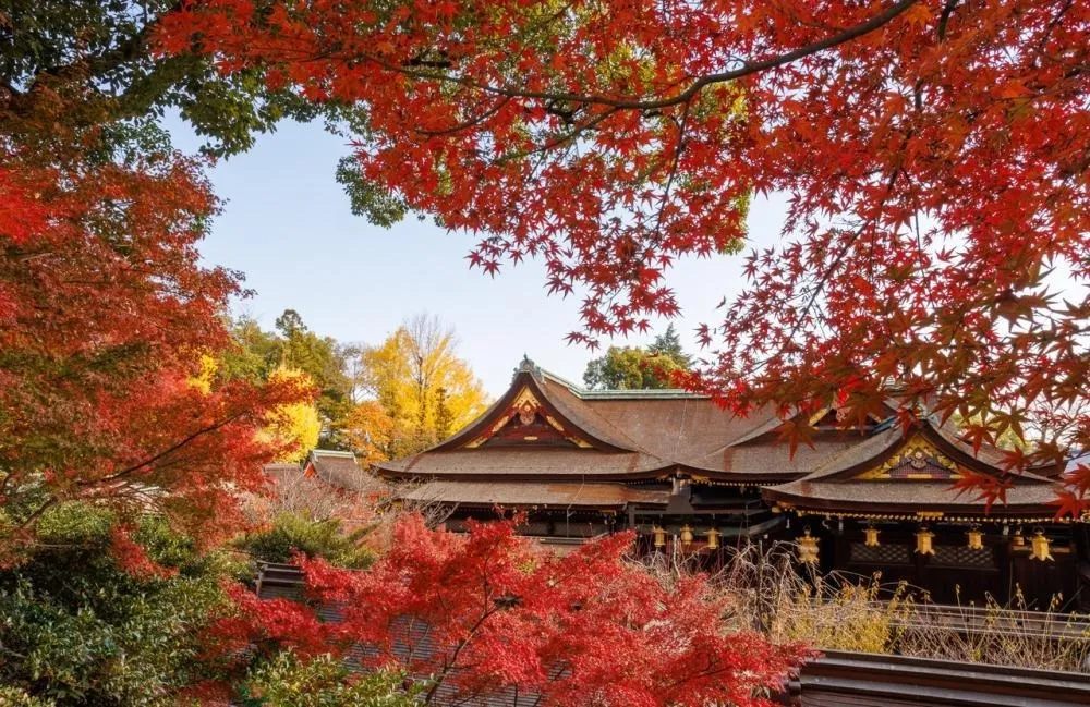 秋の京都、住まいを見つめ直す季節に